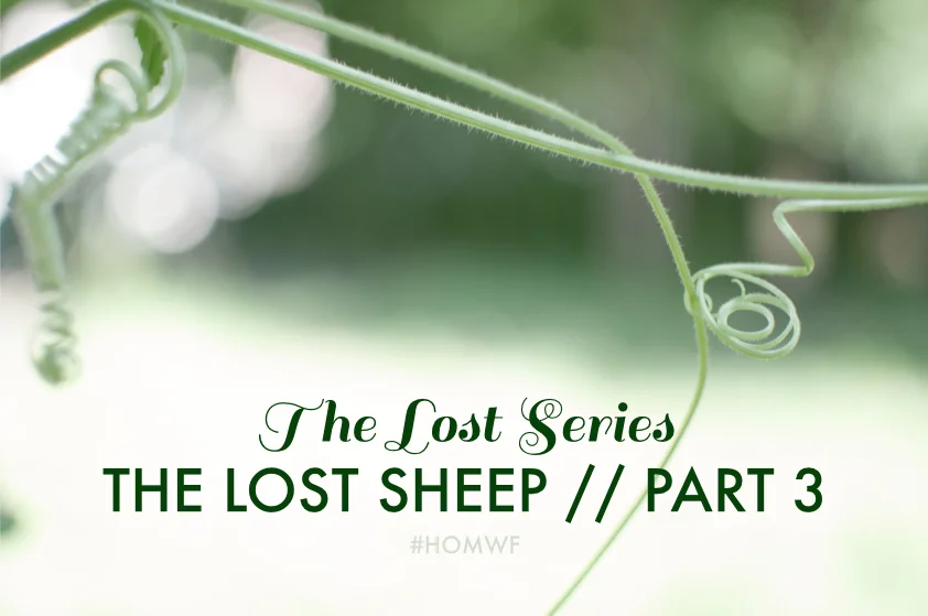 The Lost Sheep // Part 3