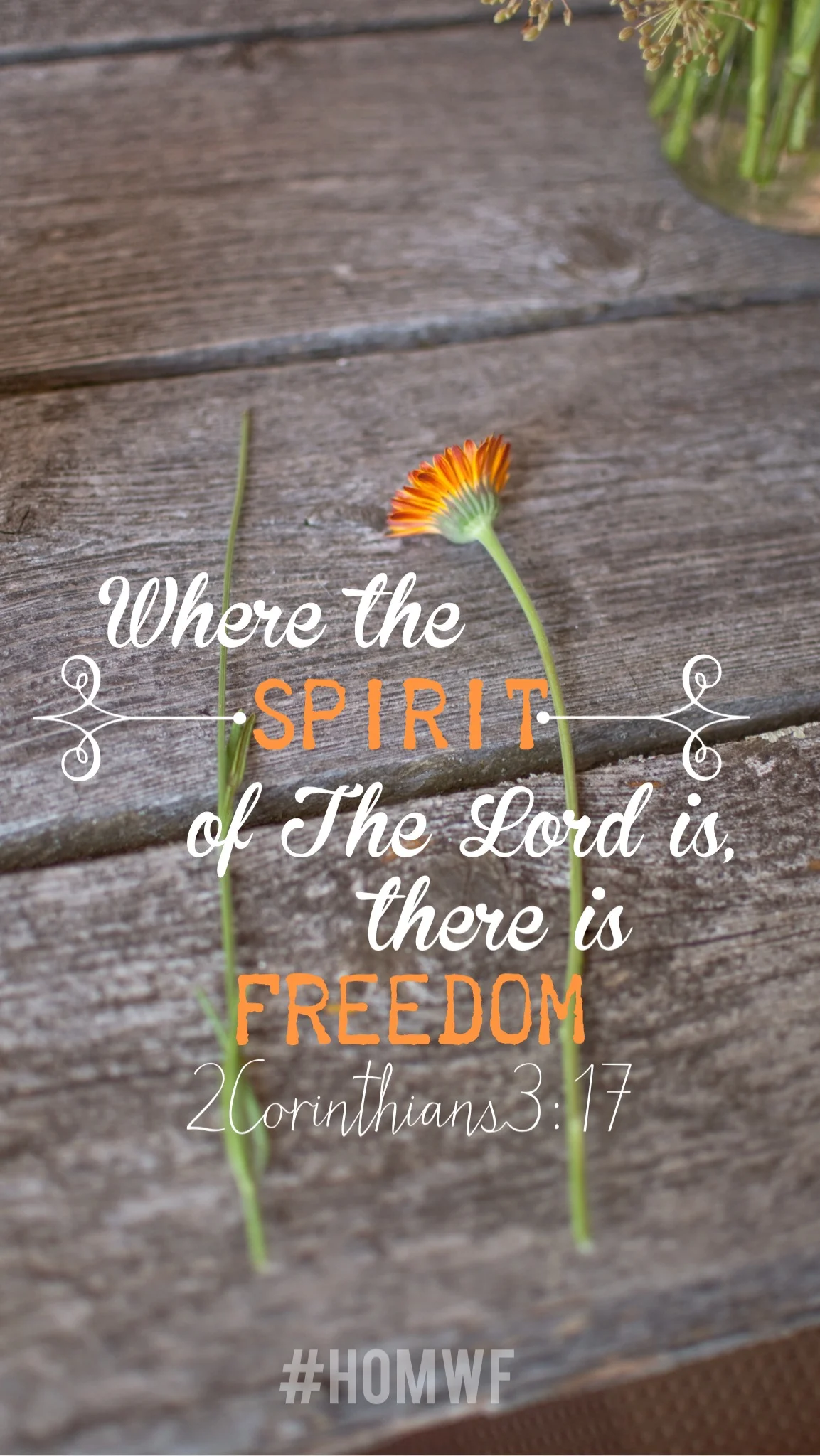 Art for the Heart - 2 Cor 3:17