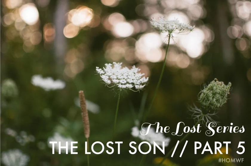 The Lost Son // Part 5