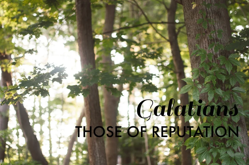 Galatians - Those of Reputation