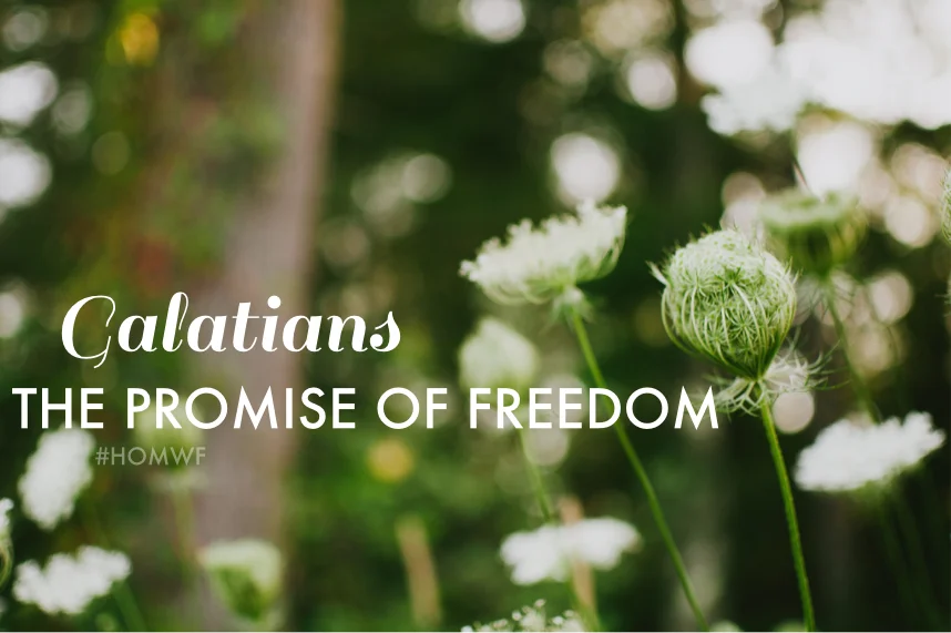 Galatians - The Promise of Freedom