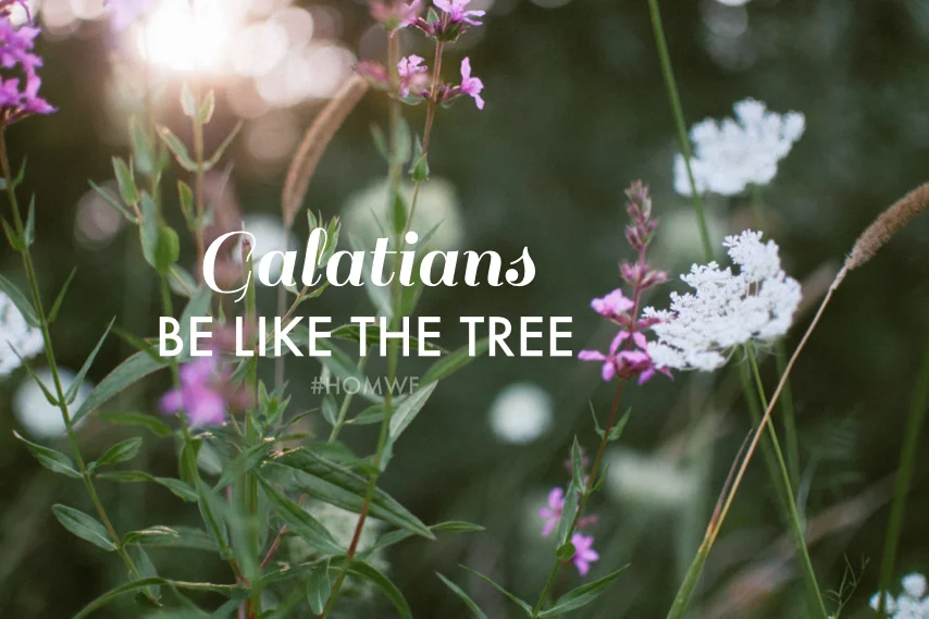 Galatians - Be Like the Tree