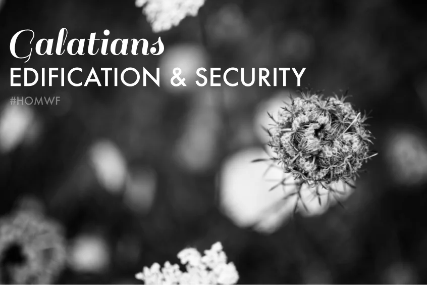 Galatians - Edification & Security