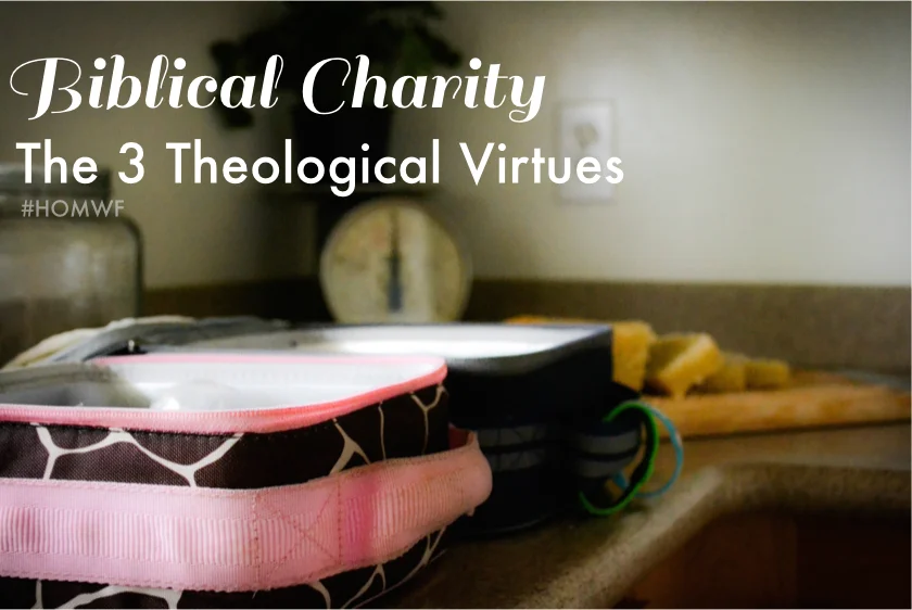 Biblical Charity // Theological Virtues