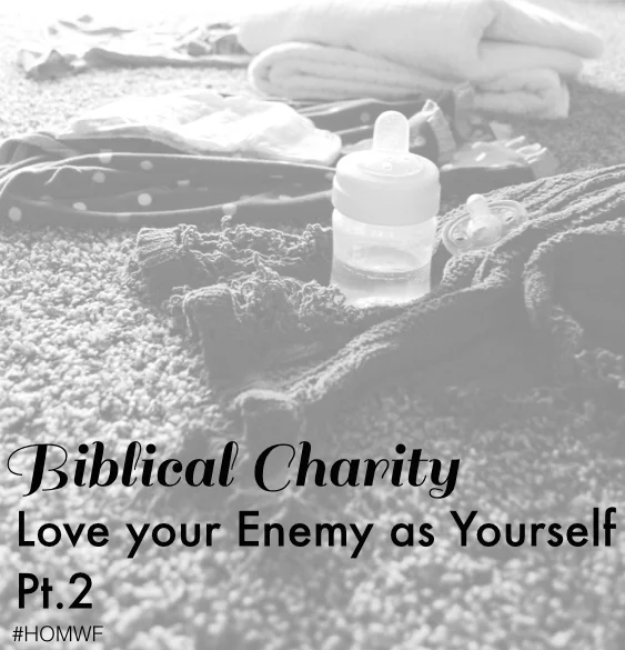 Biblical Charity // Love Your Enemy Part 2
