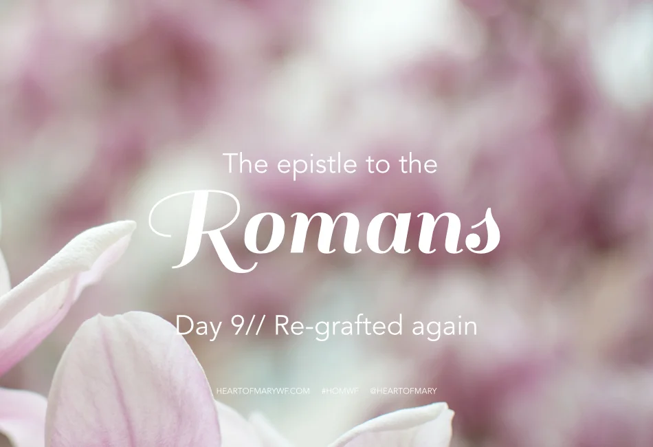 Romans Day 9 // Re-grafted Again