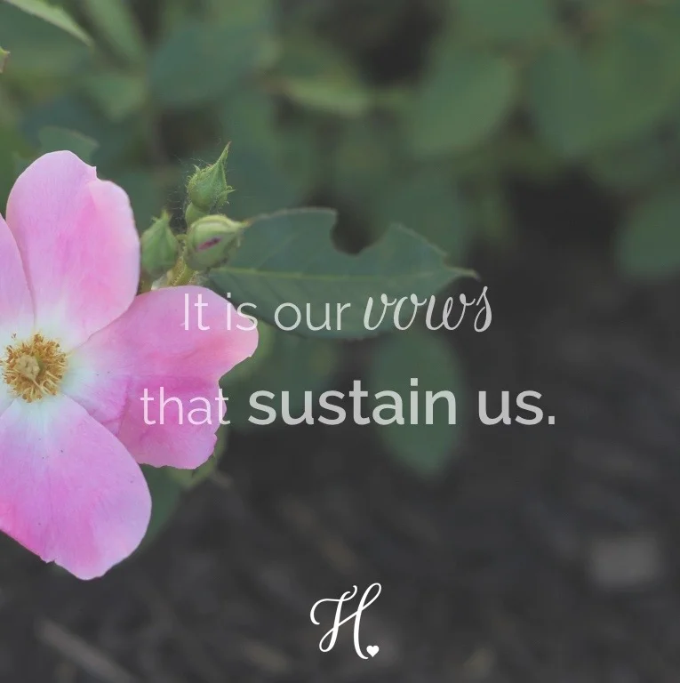 Image by Cailin Valente
