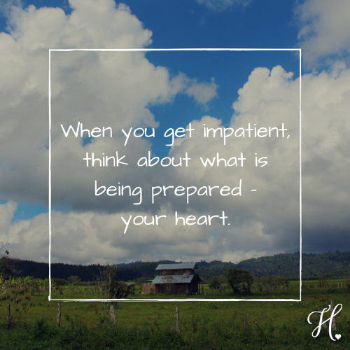 Image by Alyssa Marie Francis