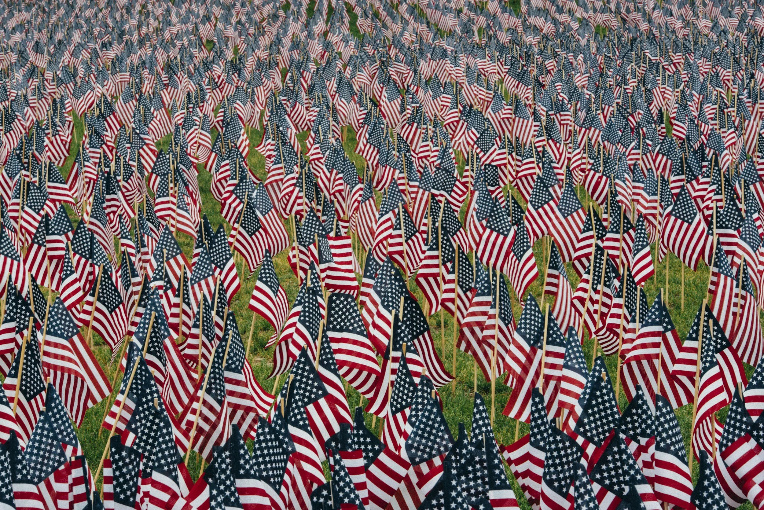 unsplash-image-7QlGcODLYR8.jpg