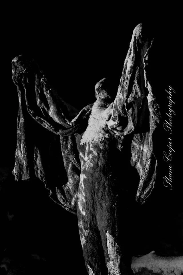 by Shane Cooper