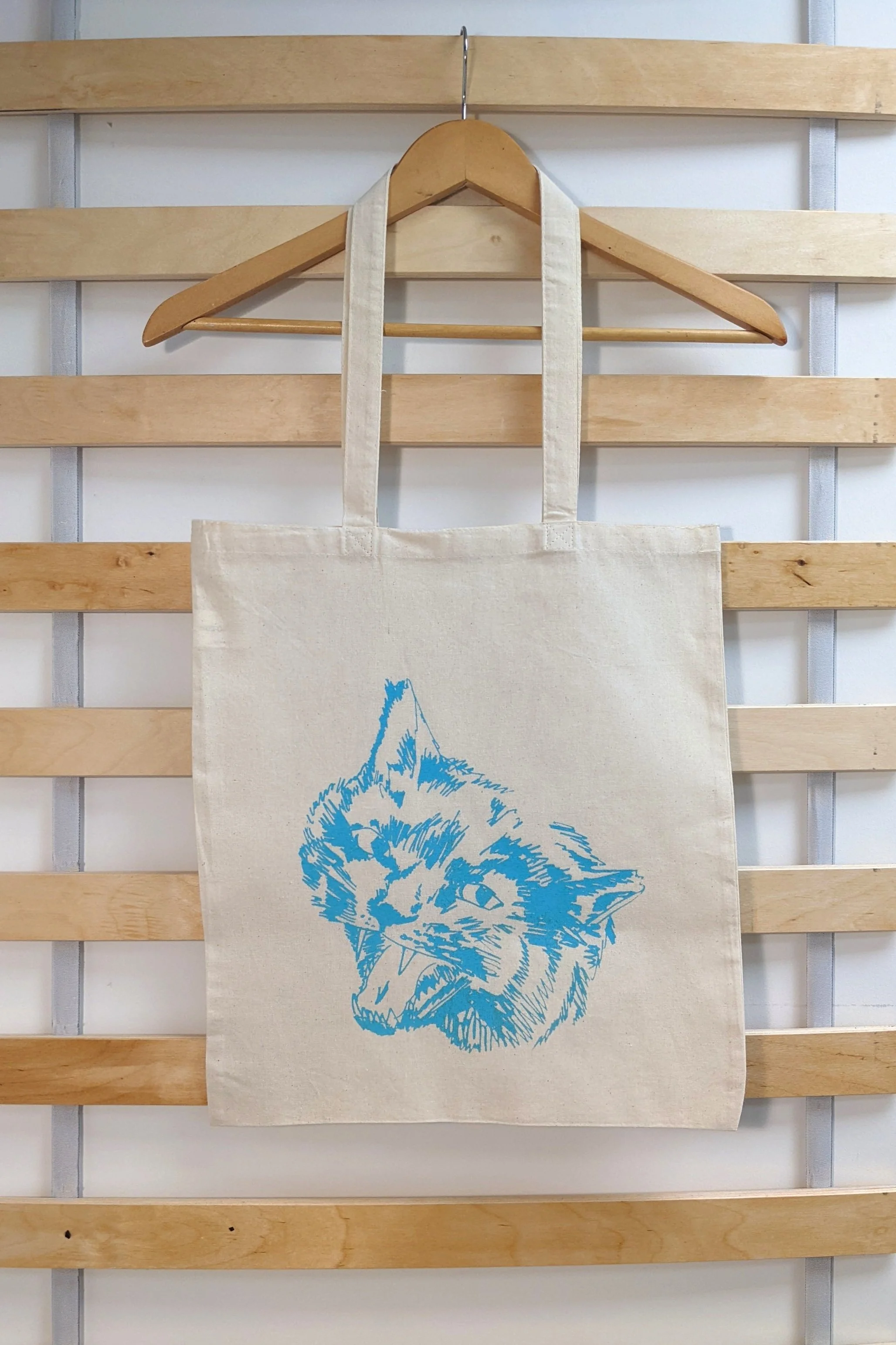 Cat+Front+1.jpg