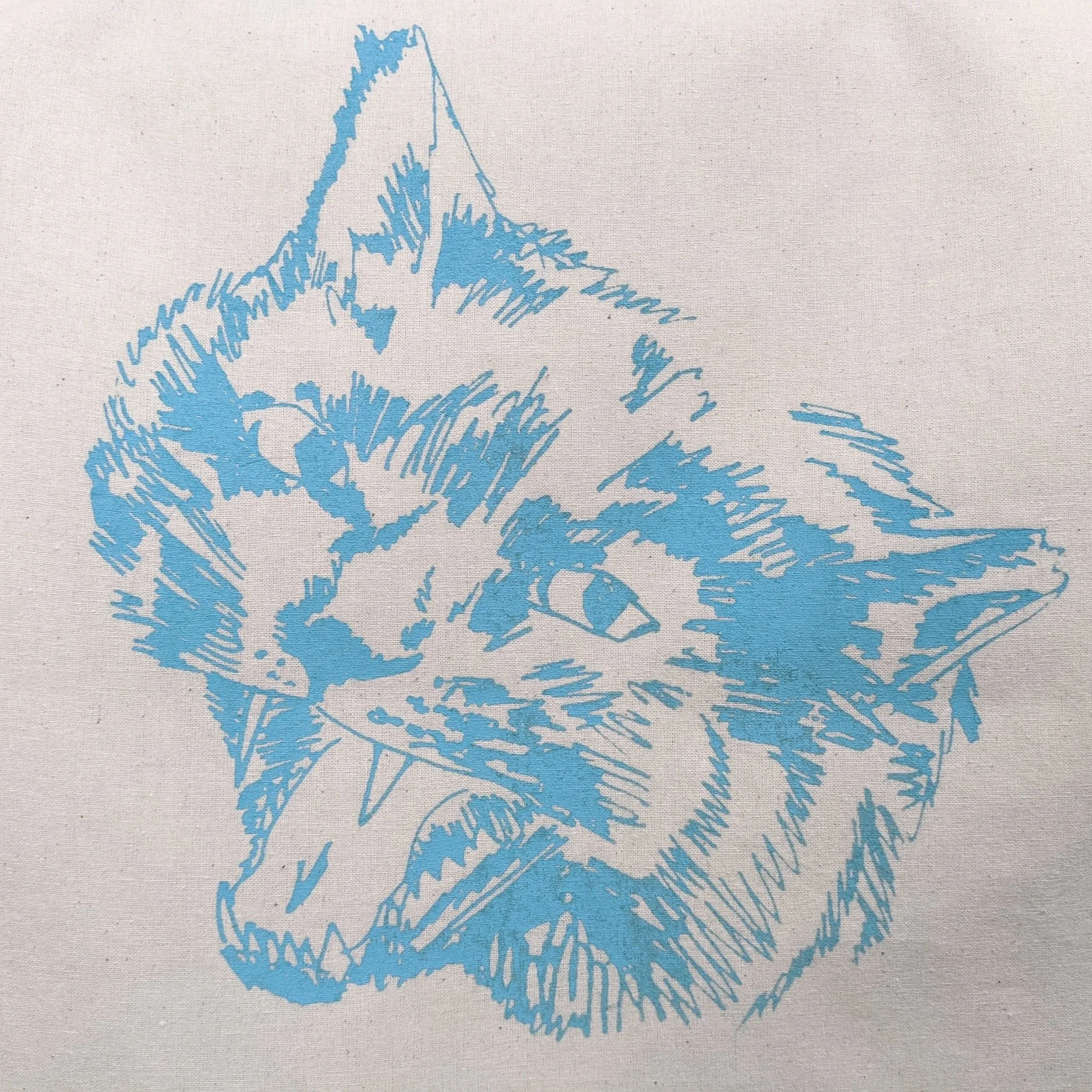 Cat+Front.jpg