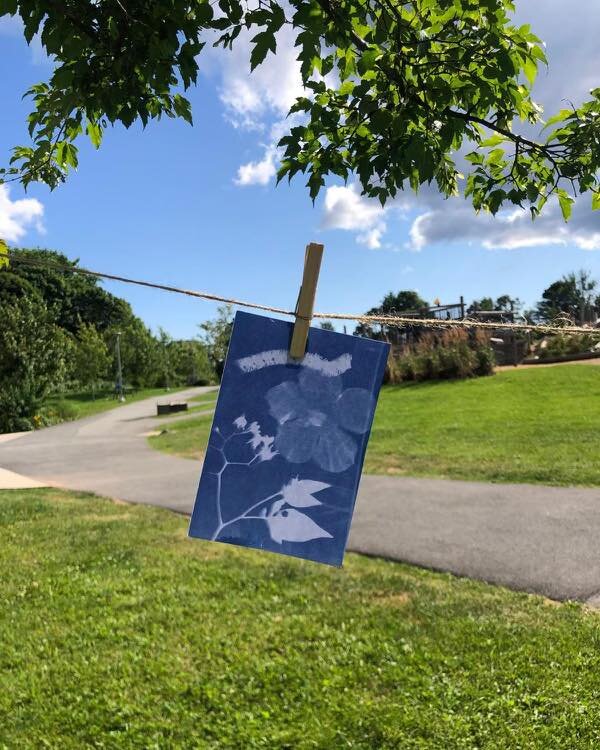 Cyanotype is legit magic. We&rsquo;re riding out to Greystone and will be there from 12:30pm to 2:30pm today: August, 2nd, 2023. 

Have objects for your dream cyanotype? Bring them outside and make it happen! See you at Greystone 😎

&bull;

Image De