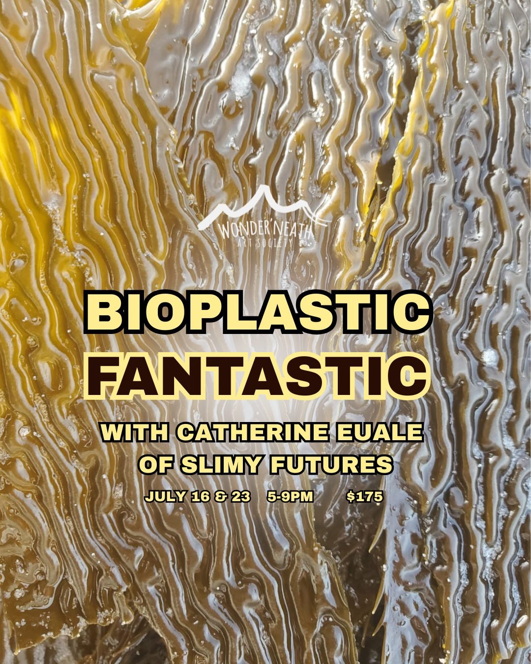 By popular demands, we are please to re-offer Bioplastic Fantastic with Catherine Euale of Slimy Futures! This two-part workshop will take place on July 16&amp;23 5-9pm.
✨
What if your garments, packaging, or objects were made from seaweed? Halifax s