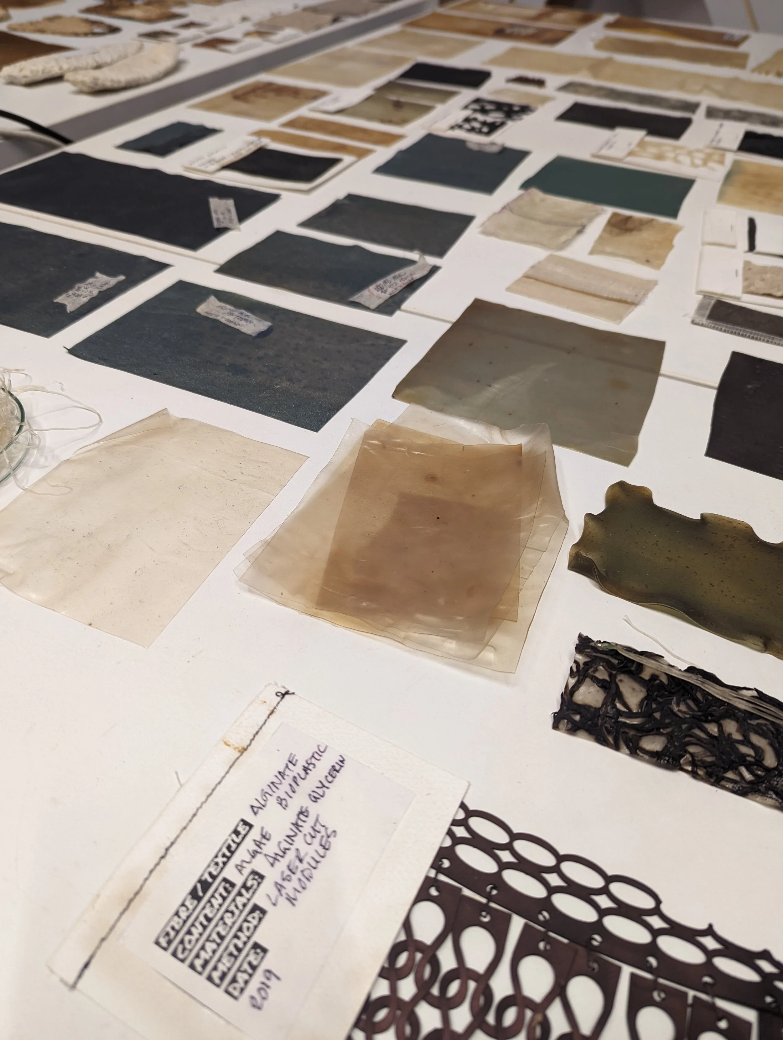 bioplastic samples.jpg