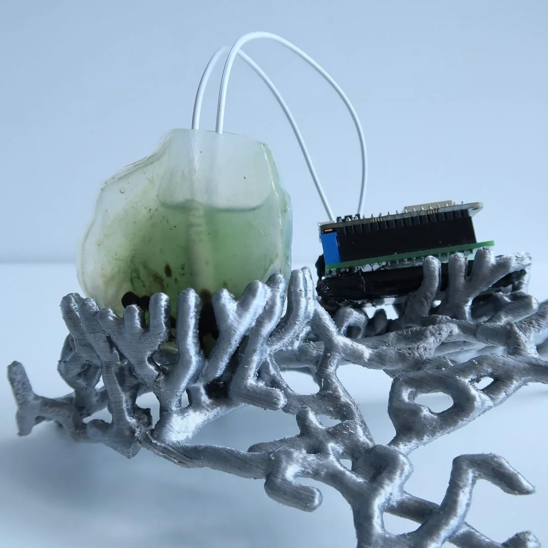 biodata sonification.jpg
