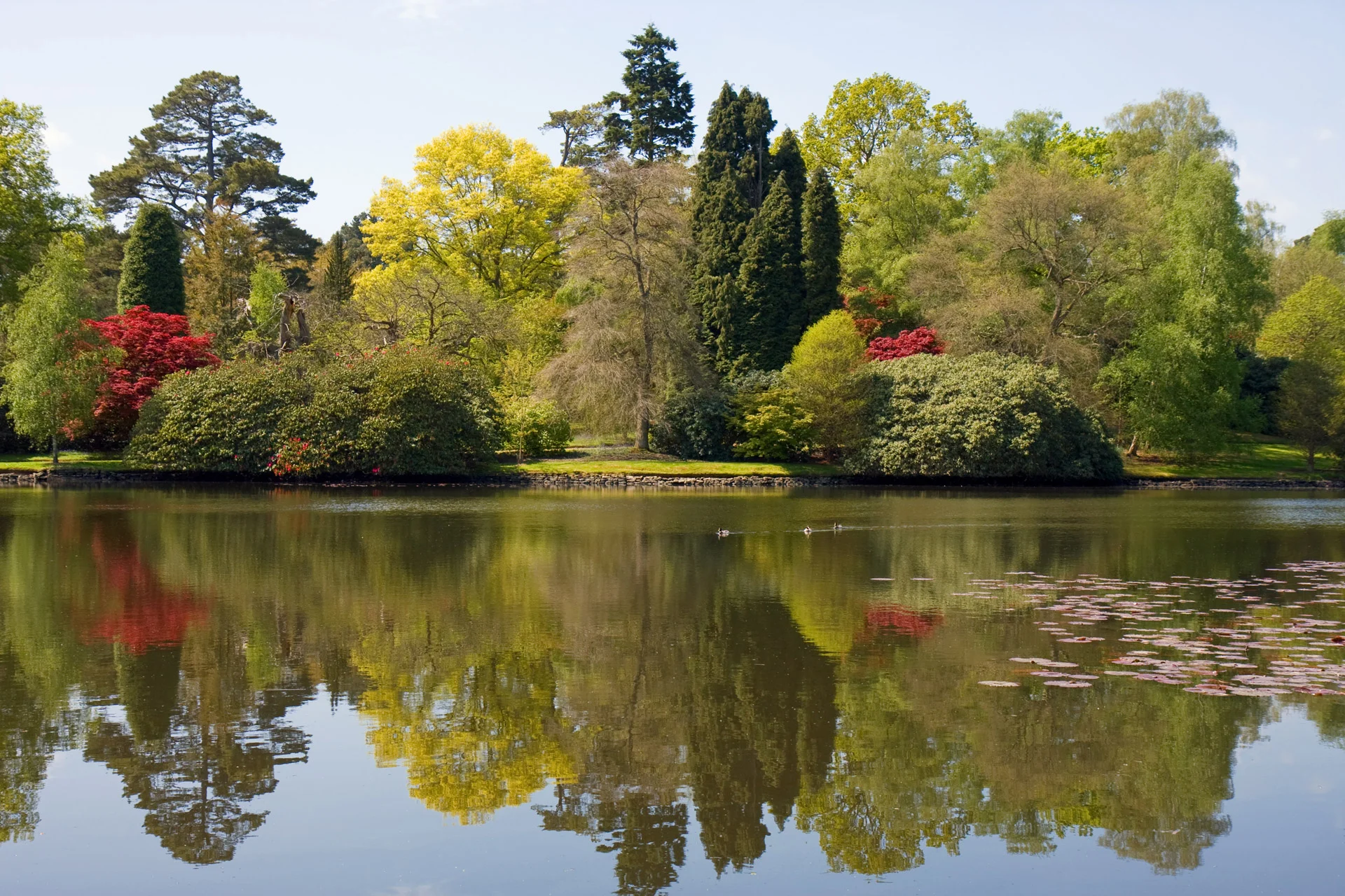 colorful trees-reflection.jpg