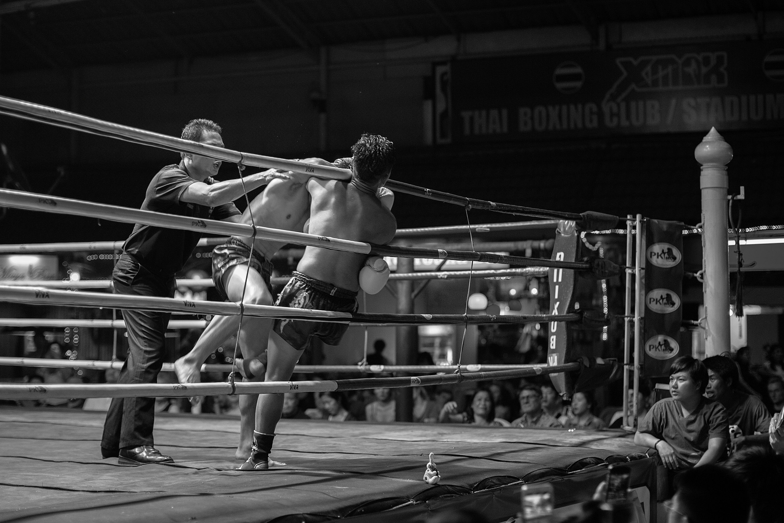 5V2A3050 B&W.jpg