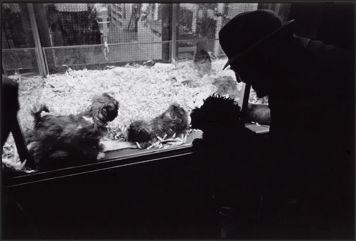 New York City 1975