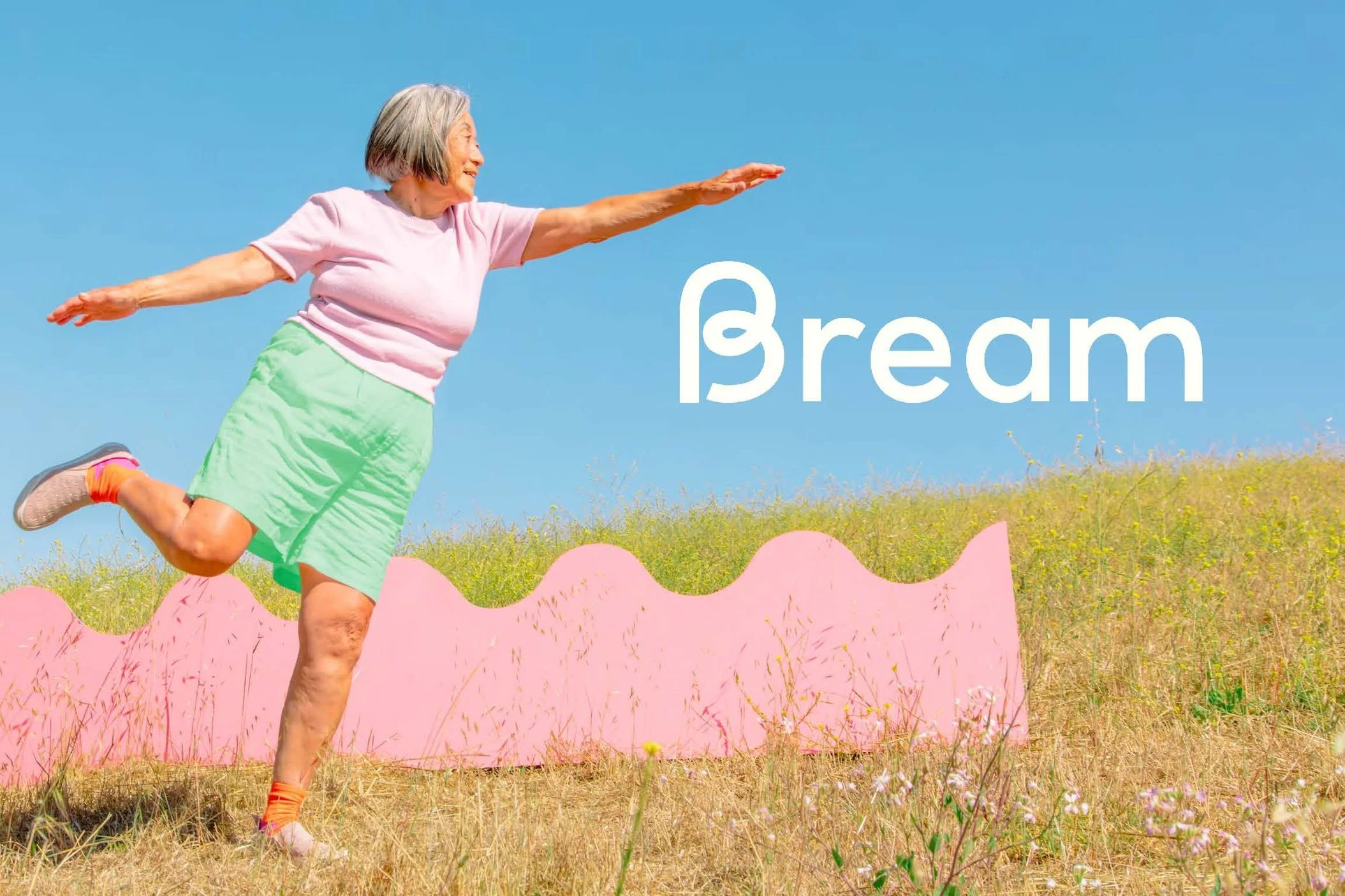 Bream_Investment_Deck_Compressed_Page_01.jpg