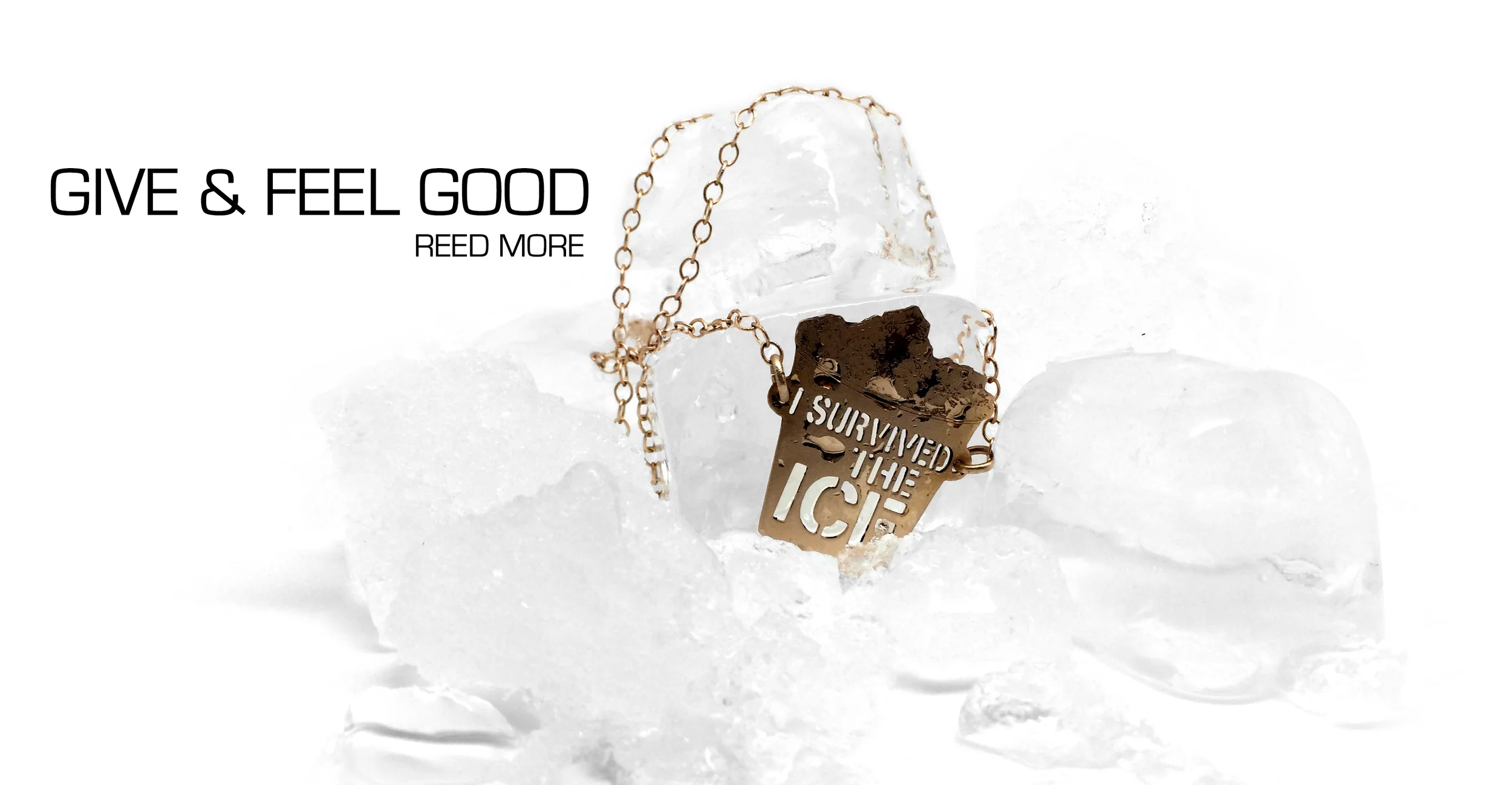 ALS - I Survived The Ice Cause