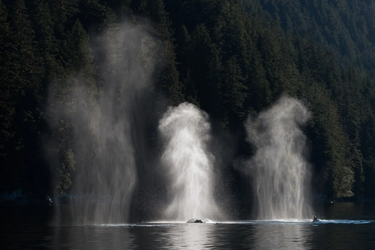 JDP_coast-4361.jpg