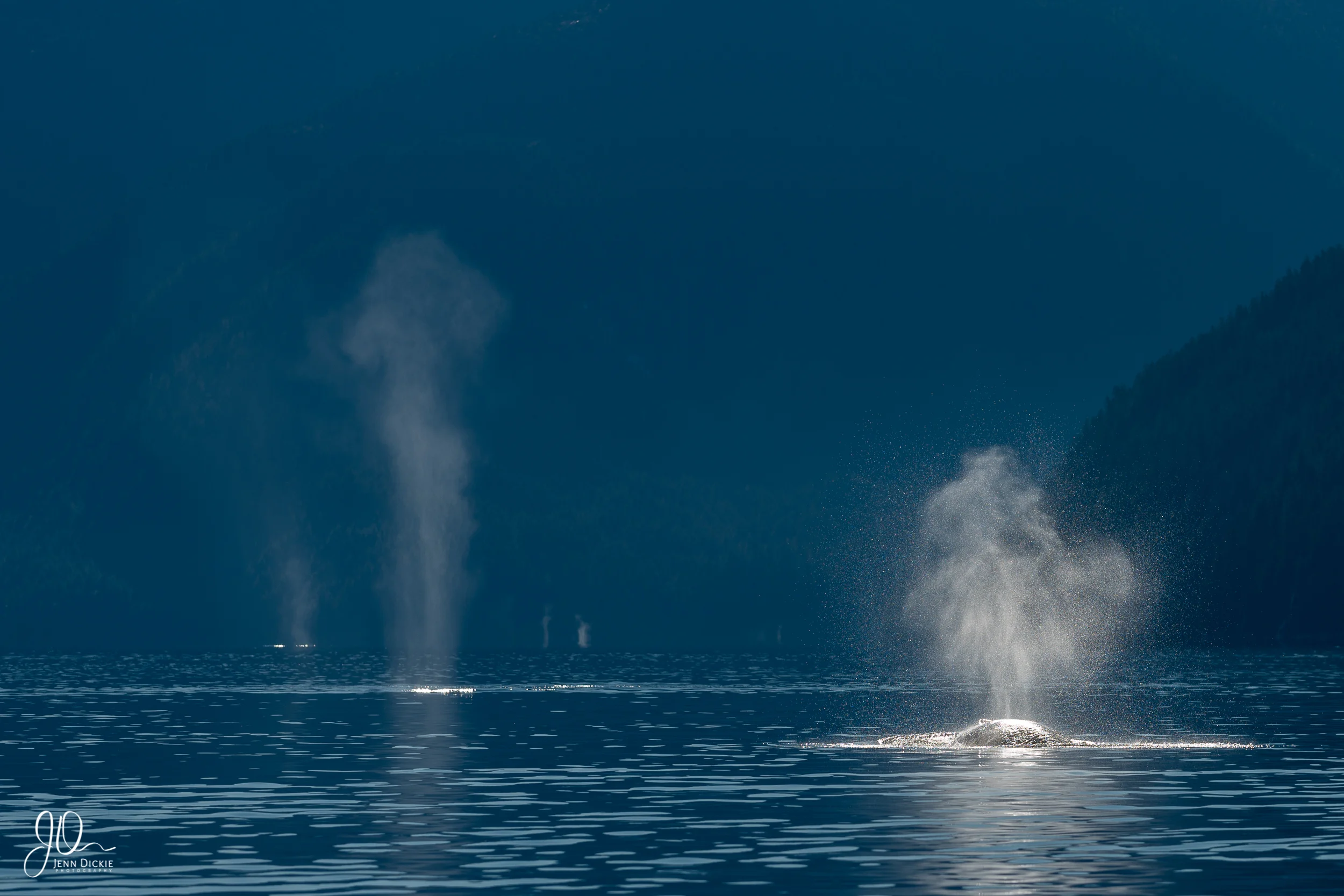Hanging Breath
