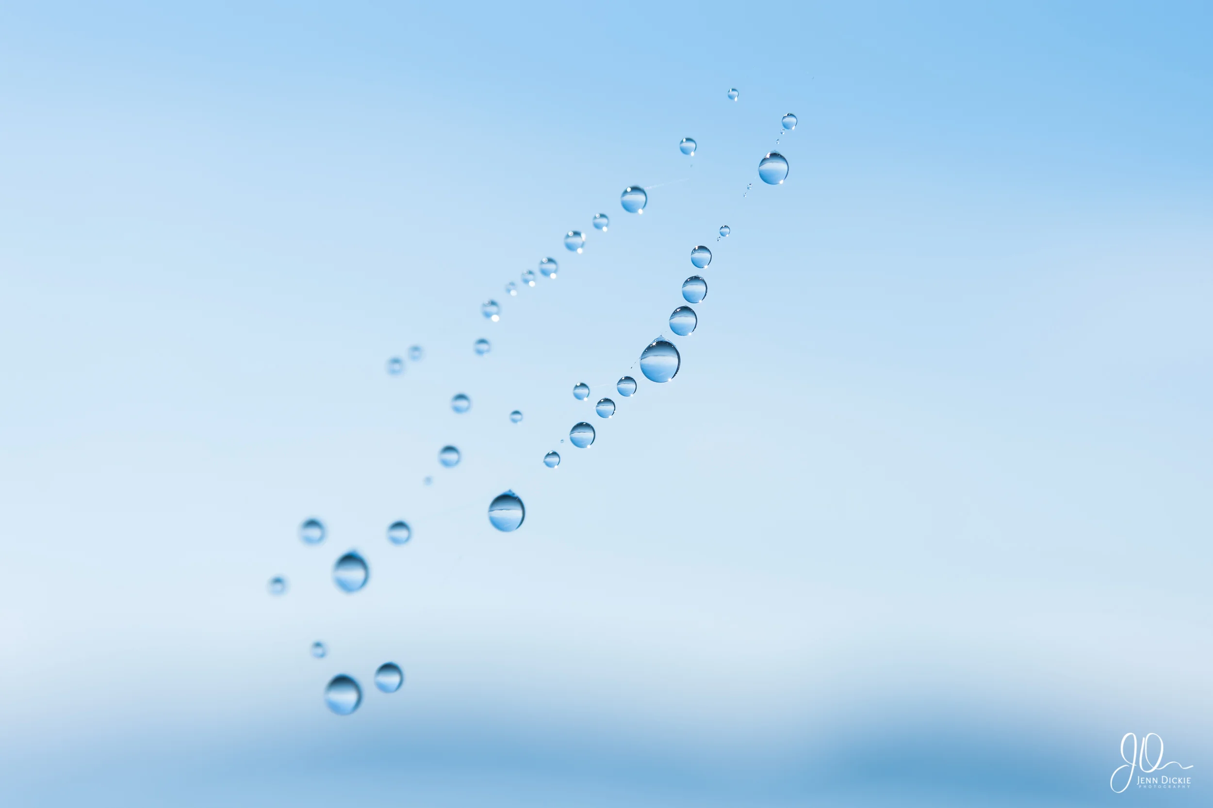 Water Droplets