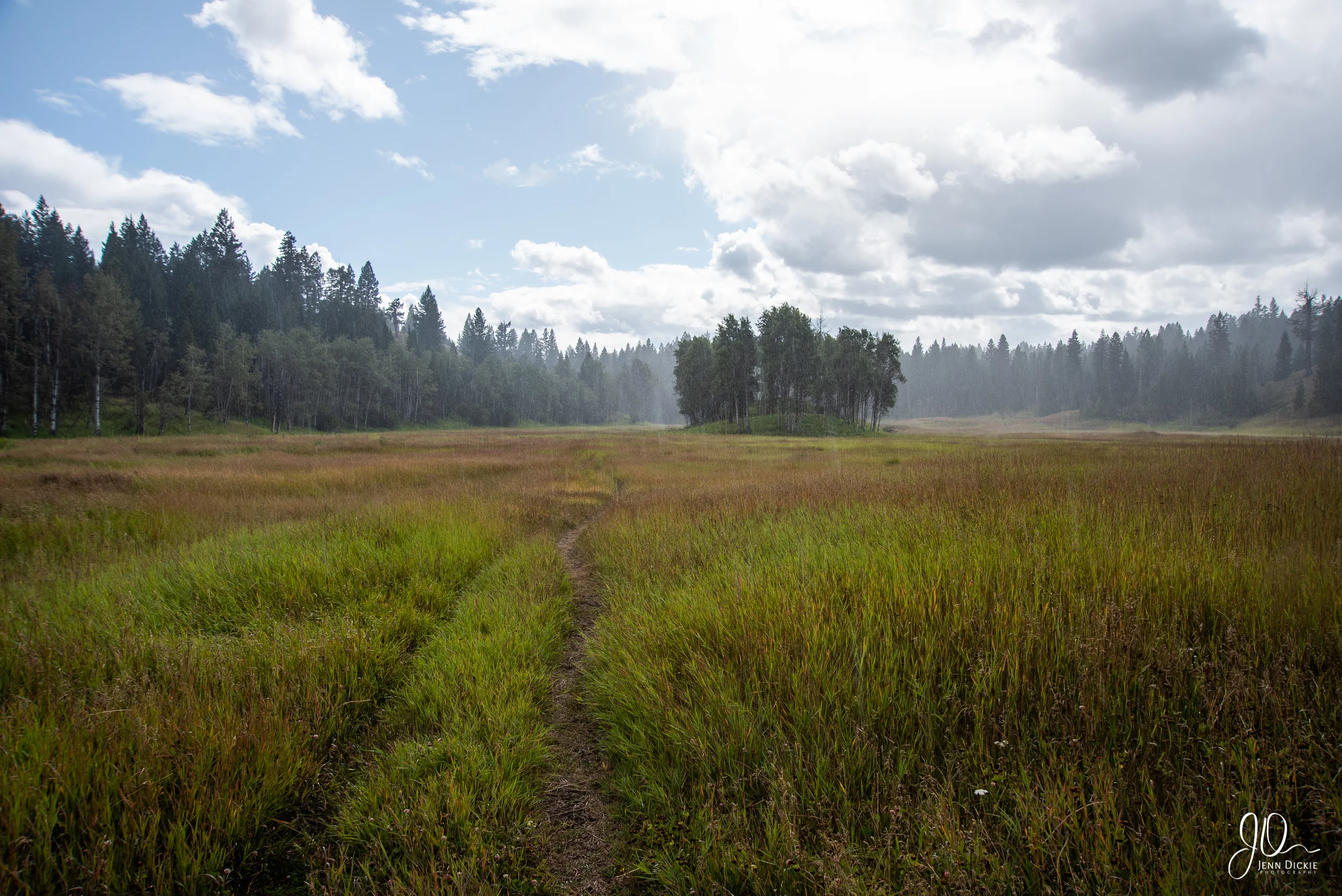 BCinterior__JDP5120.jpg