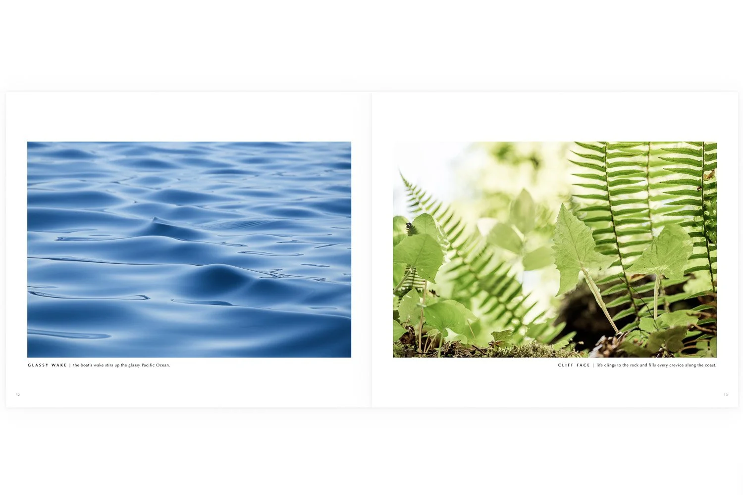 Western Edge Sample Page-45-2.jpg