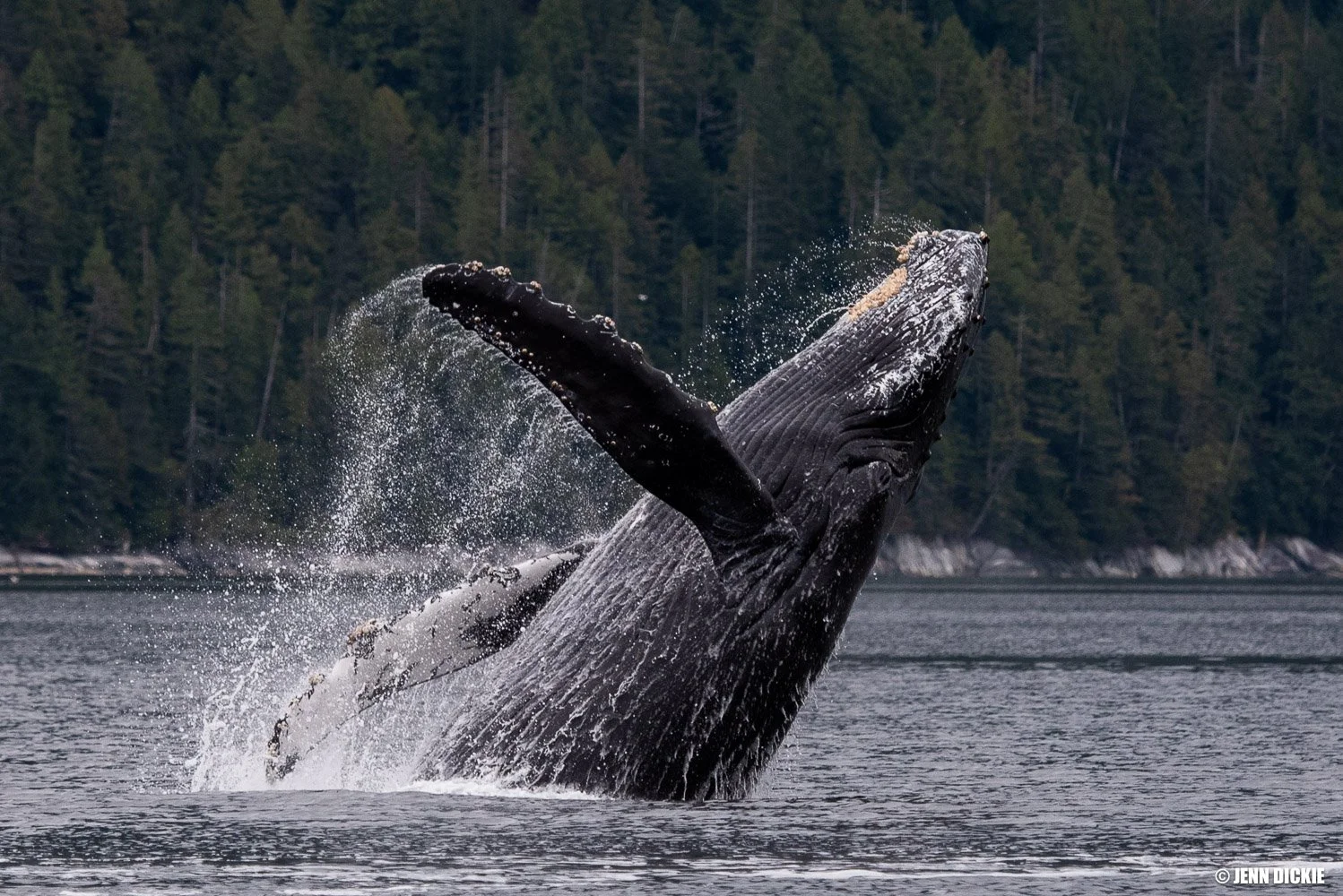 JDP_Web-9185.jpg