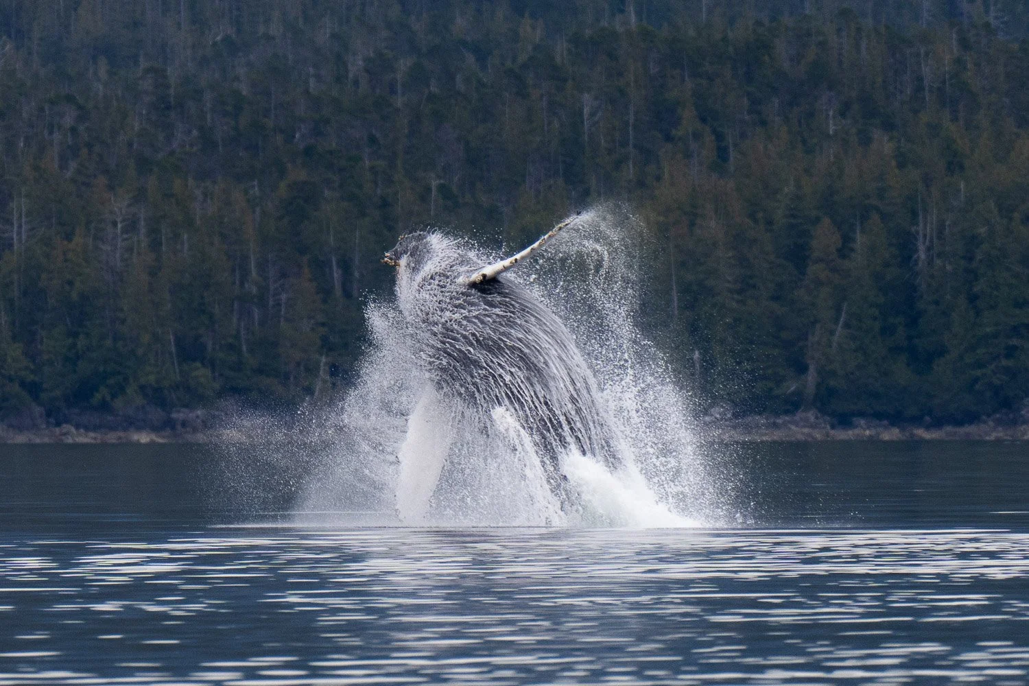 JDP_coast-06791.jpg