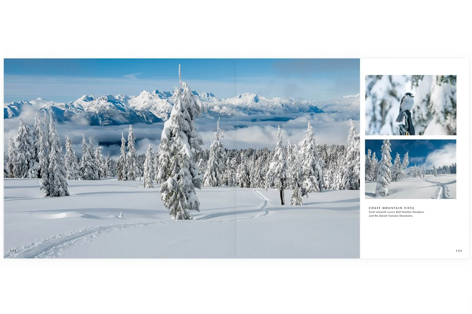 Western Edge Sample Page-46-4.jpg