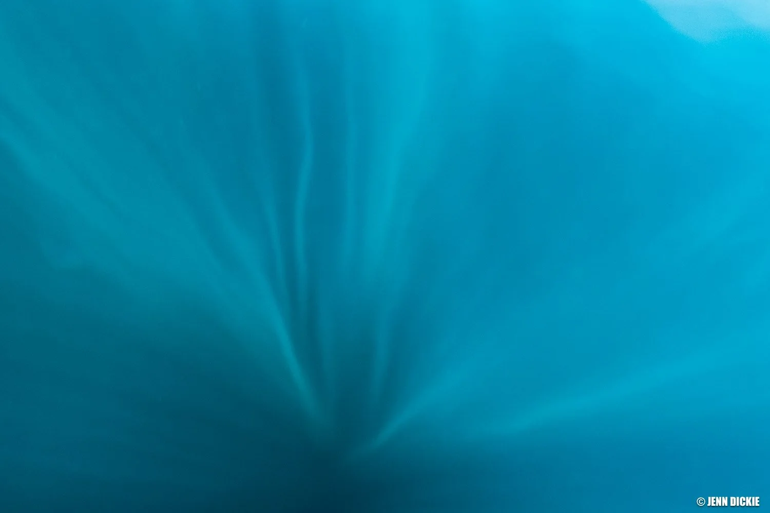 JDP_Web-4720.jpg