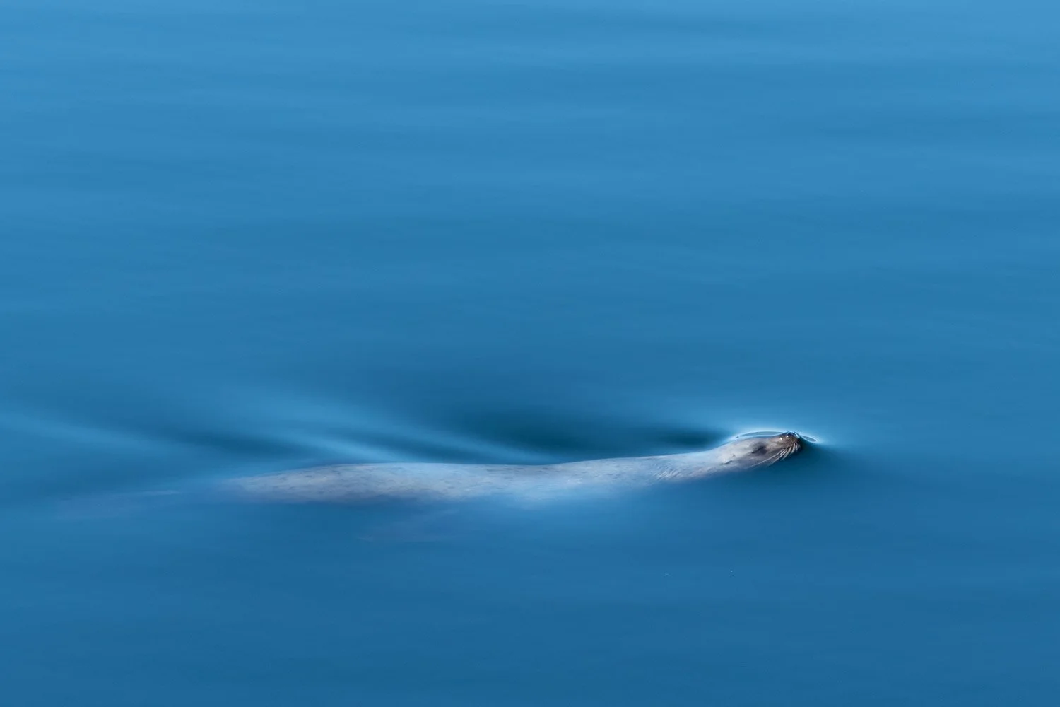 JDP_coast-2288.jpg