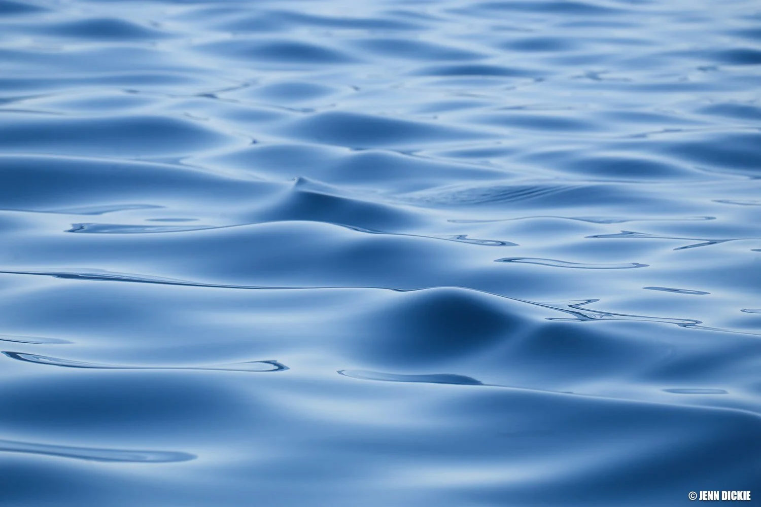JDP_Web-2998.jpg