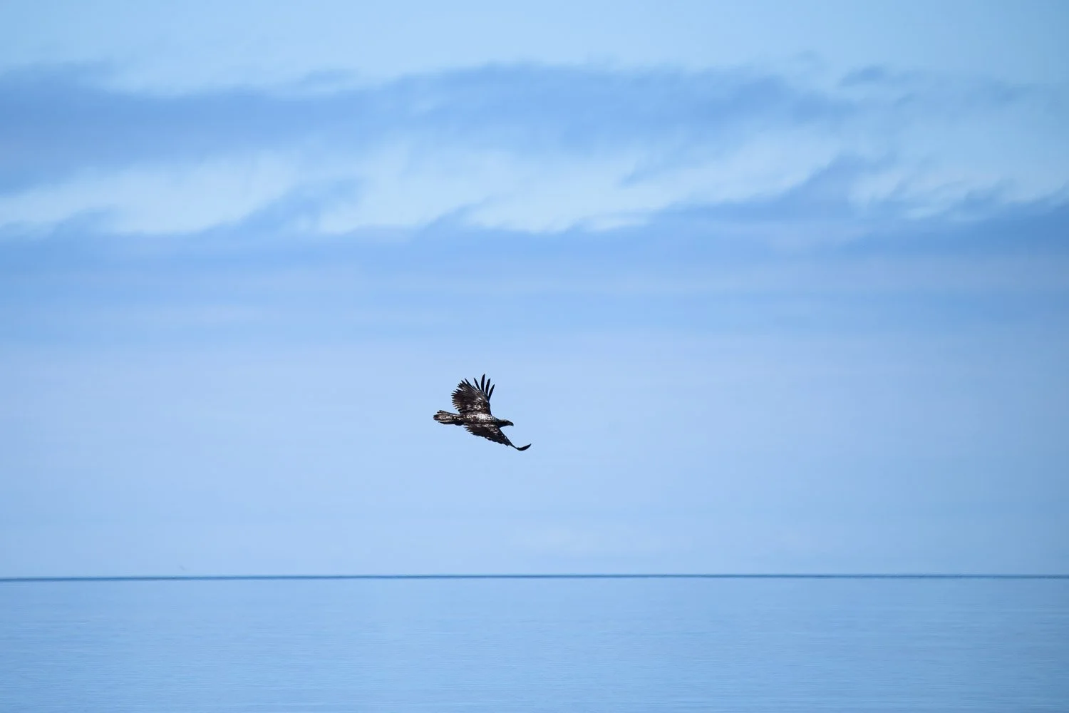 JDP_coast-9274.jpg