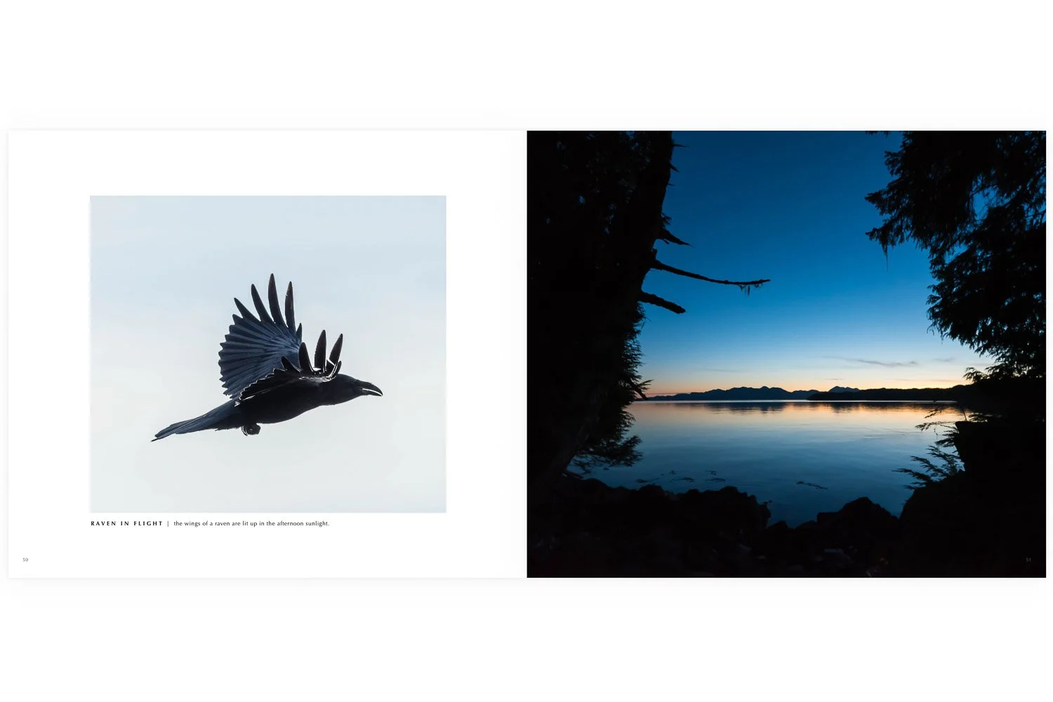 Western Edge Sample Page-45-7.jpg