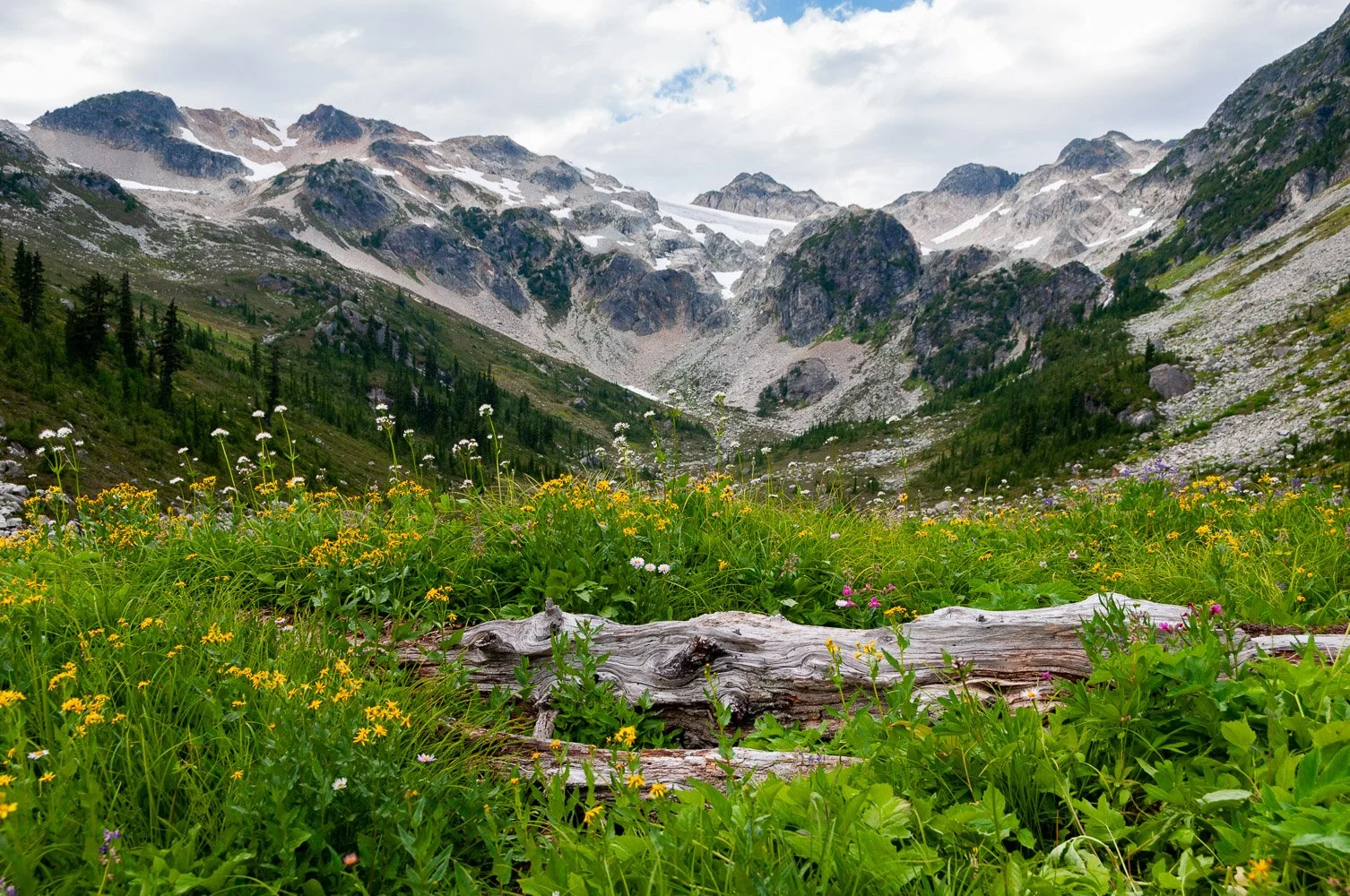 JDP_mountain-6249.jpg