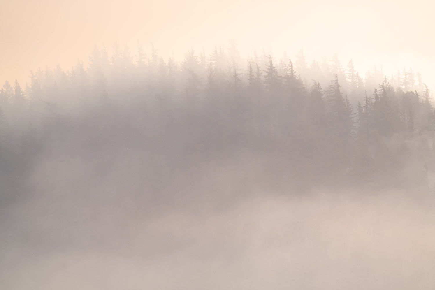 JDP_mountain-05906.jpg