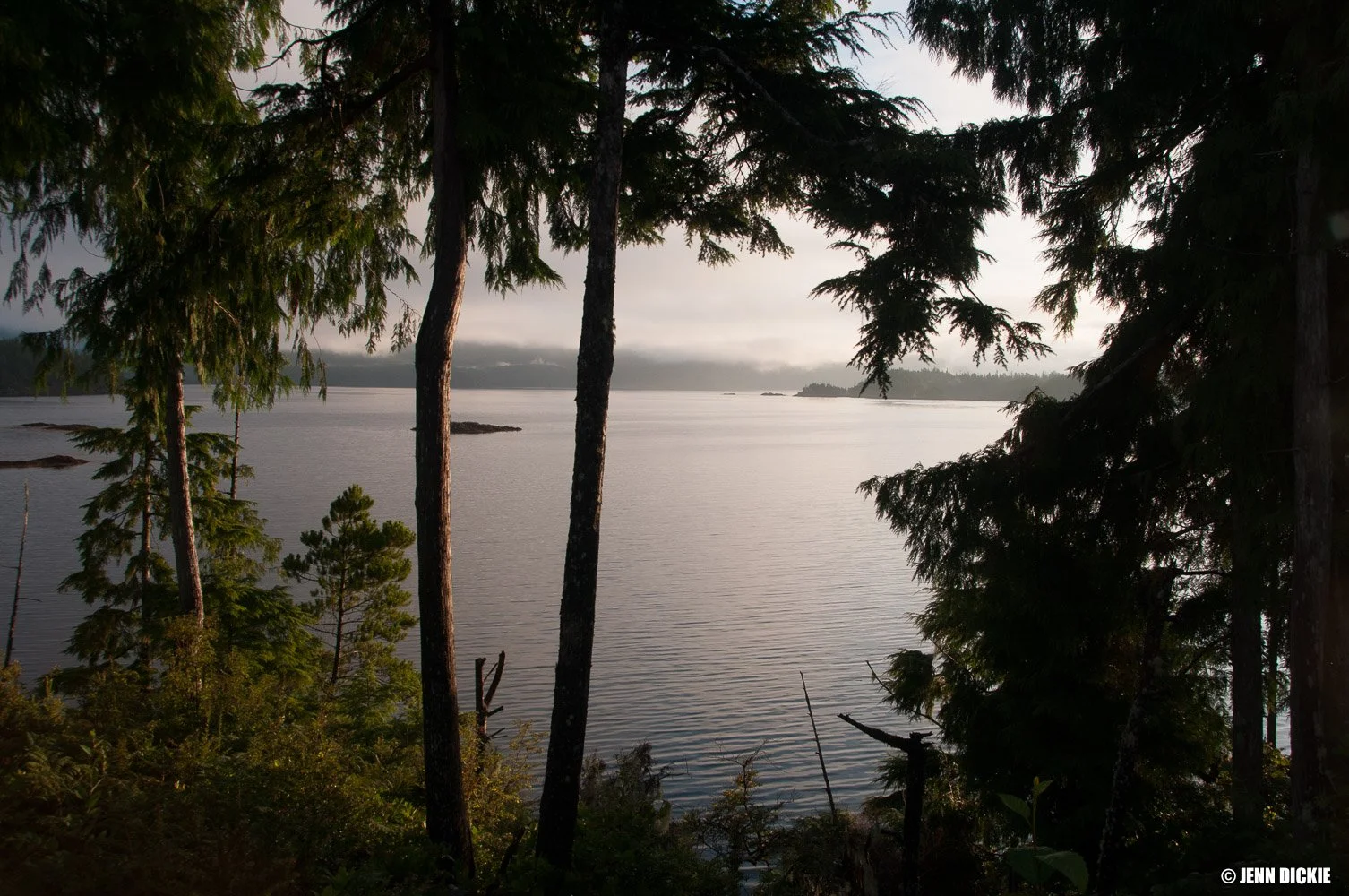 JDP_Web-99065.jpg