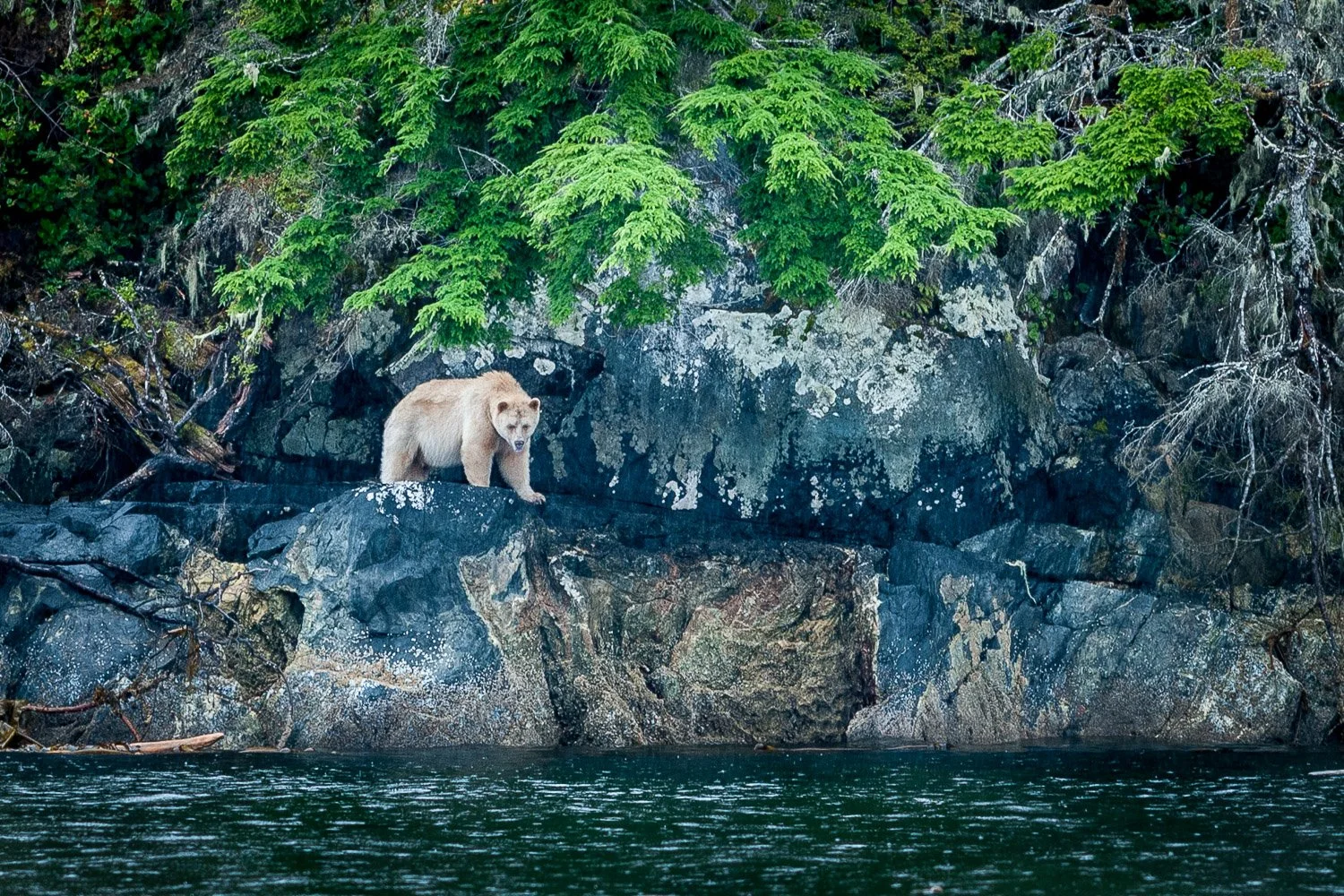 JDP_coast-2688.jpg