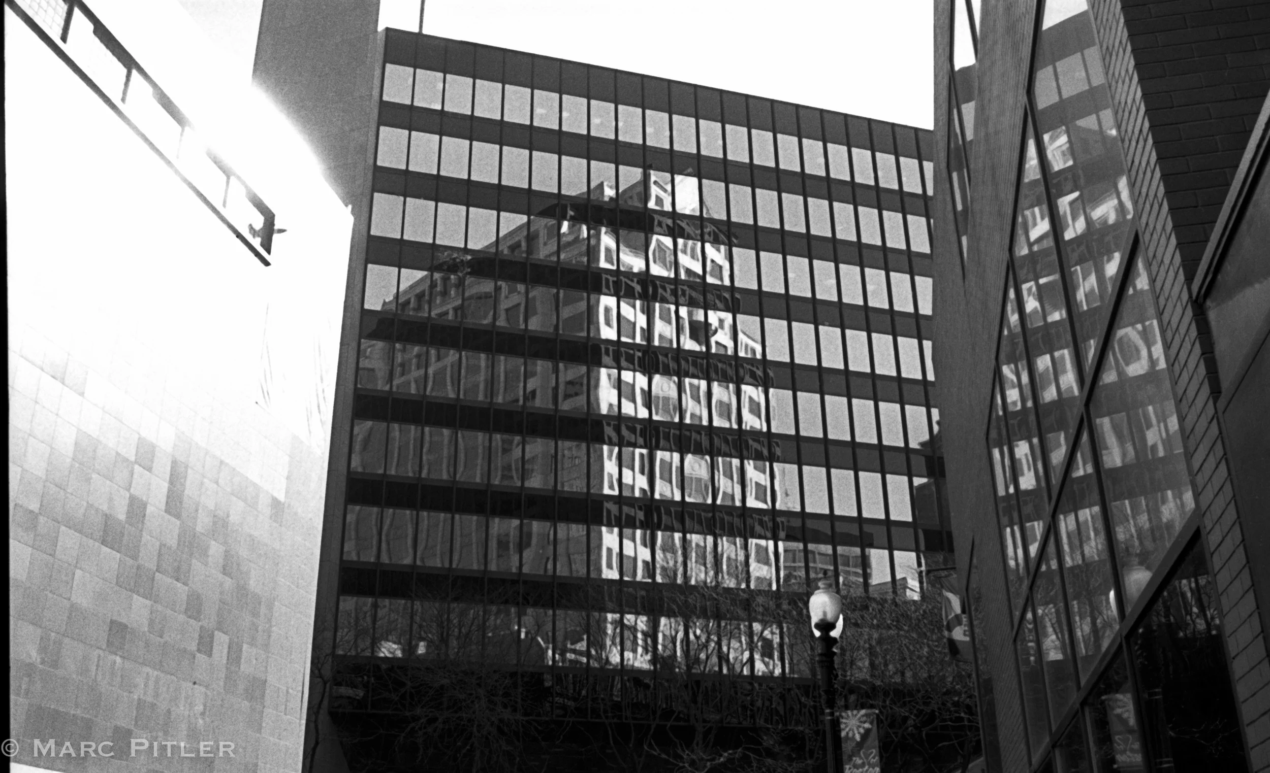 old negs012.jpg