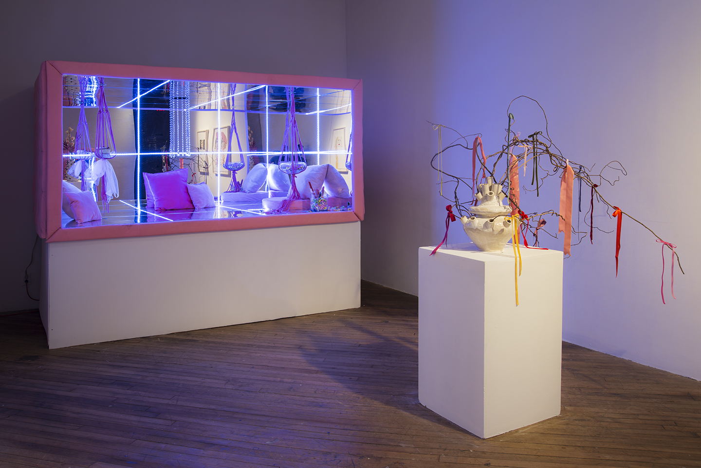  Vox Populi Gallery  in collaboration with Erica Prince  May 4-June 23, 2019 