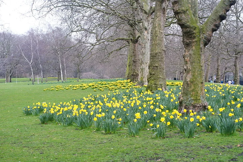 The Sights of Spring!