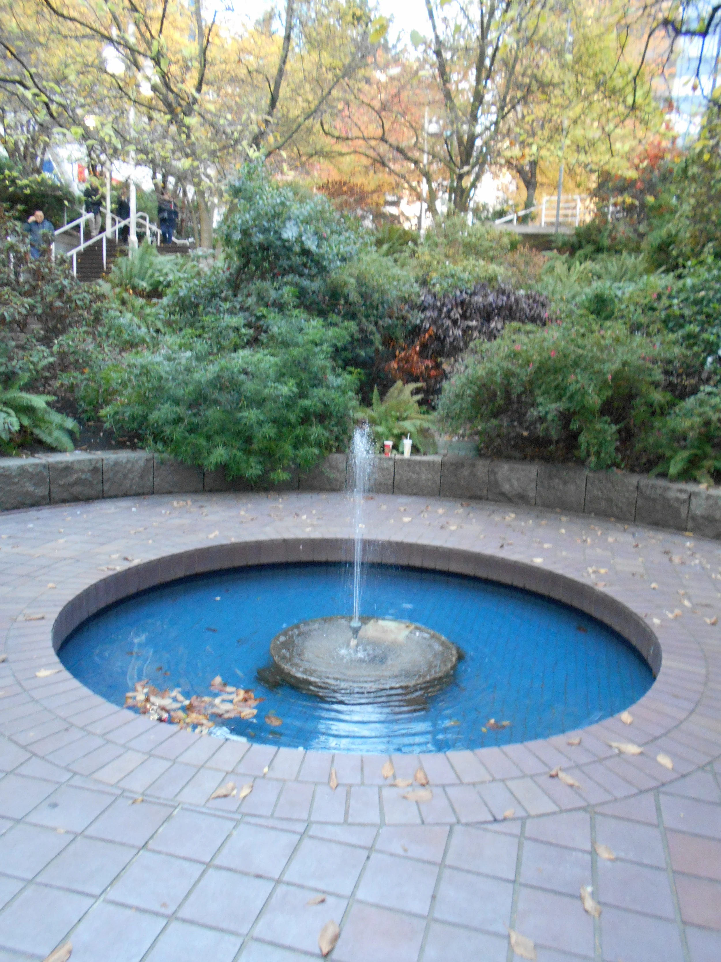 An urban oasis at Art Phillips Park.