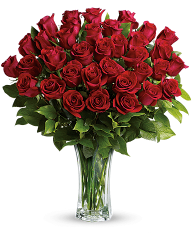 What will climate change do to our love affair with roses … and our calendar of rose-worthy celebrations?