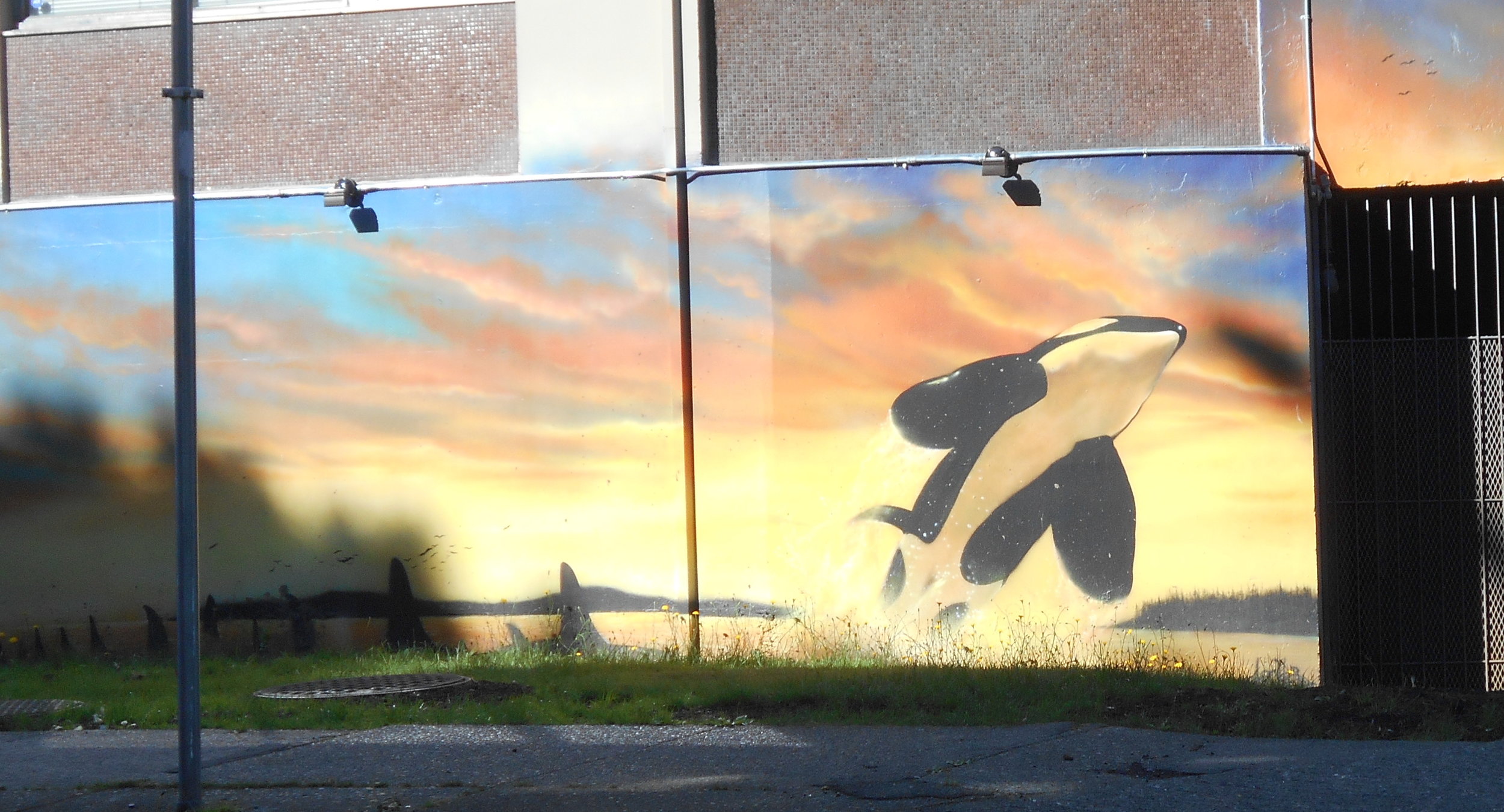 Orca leaping on a Beach Avenue wall.