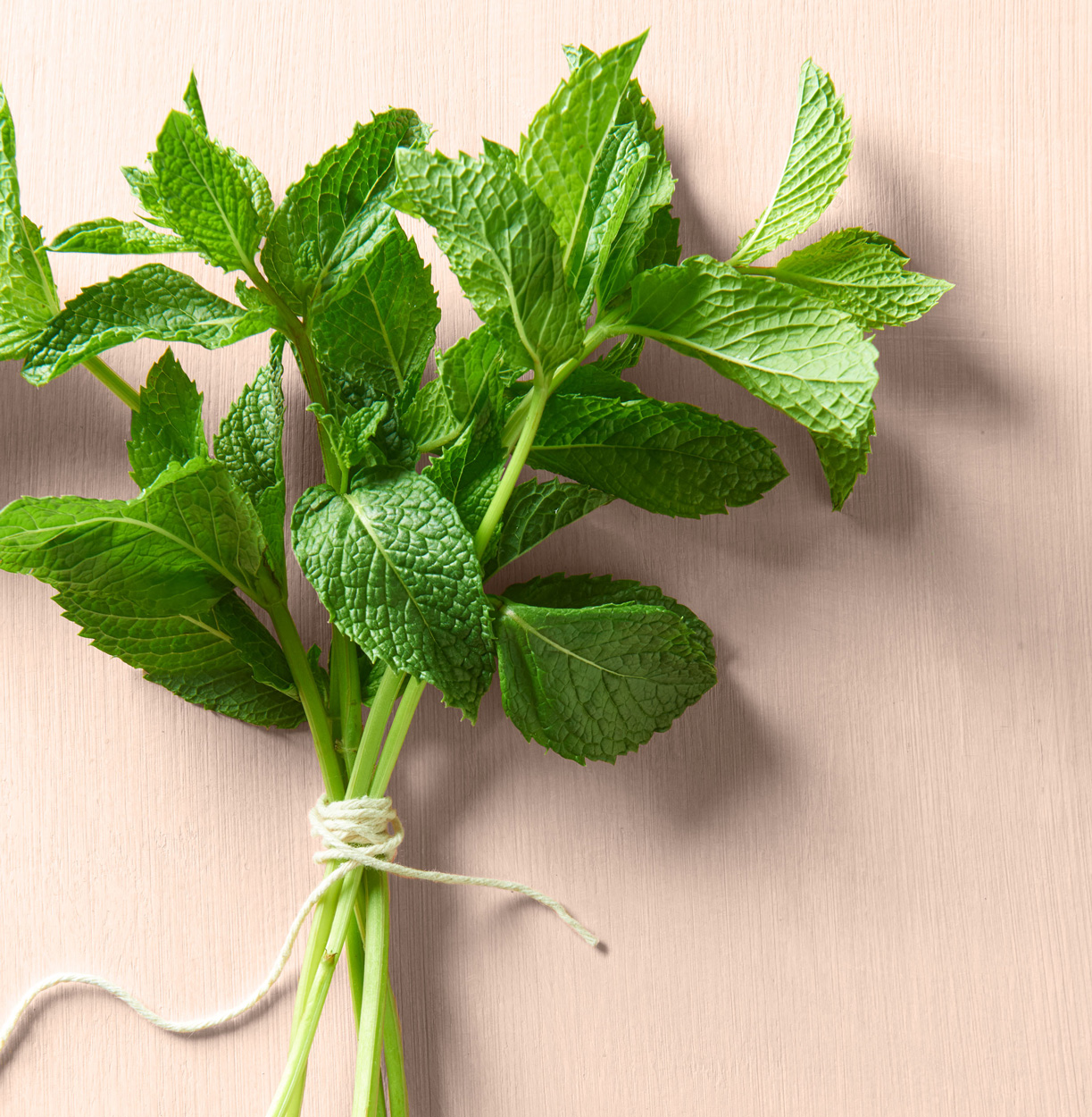 And mint might not be much better, except to accent a couple of mint juleps.