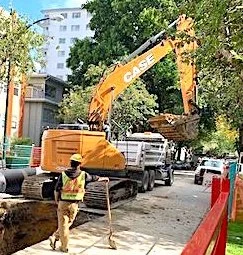 THE TALK OF THE TOWN